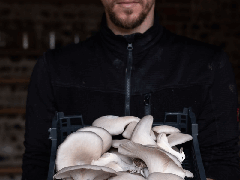 Billington Mushrooms